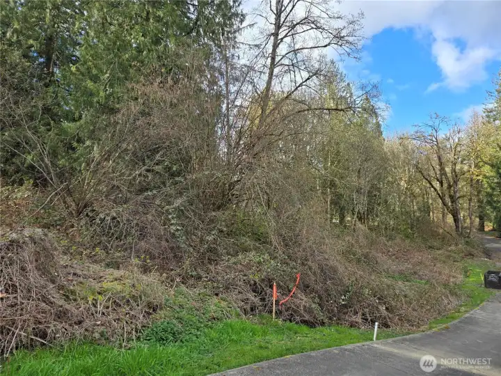 Southeast corner, this is the best location for a driveway to go into the home site.