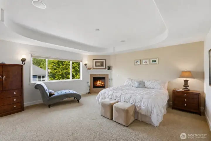 Primary bedroom has coved ceilings, whole house speaker system, a gas fireplace and wired for ceiling fan. Primary bedroom has coved ceilings, whole house speaker system, a gas fireplace and wired for ceiling fan.