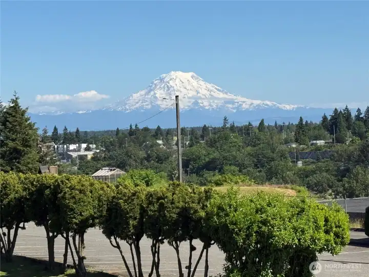 Stunning view of Mt. Rainier from this house.