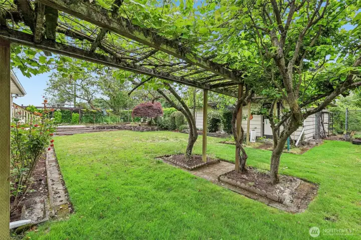 Beautiful, private backyard with grapes & 4-5 other fruit trees plus a garden space,roses,  large patio & 2 water features. The building you see is the 3 car garage