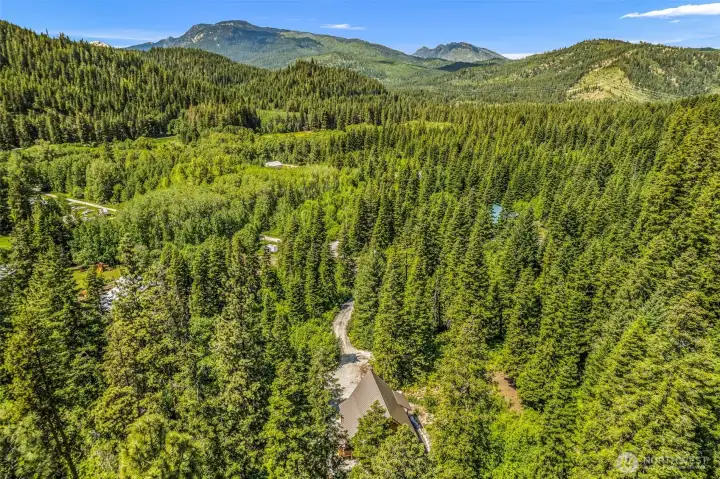 Aerial View of Mountain and Forest Setting