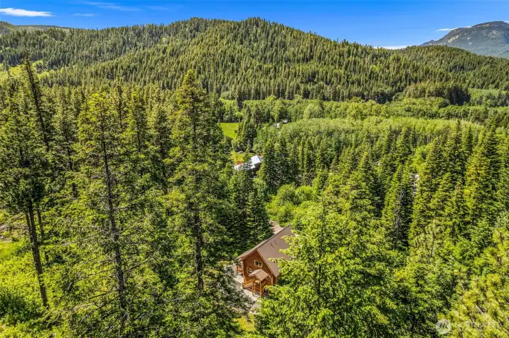 Aerial View of Property and Surrounding Forest