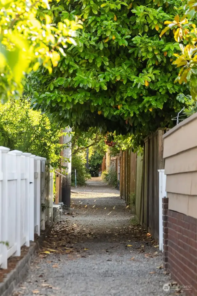 The Indian Trail: a cool pedestrian trail perfect for strolls/dog walking at high tide.