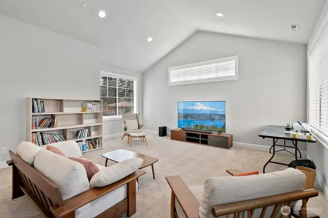 Media Room upstairs