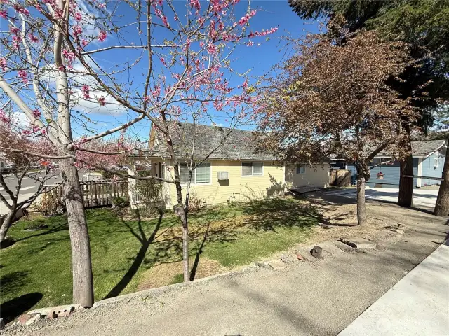 Side of house