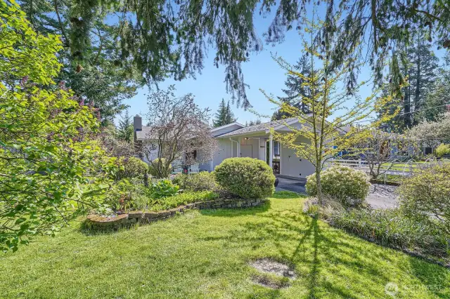 Front yard garden space