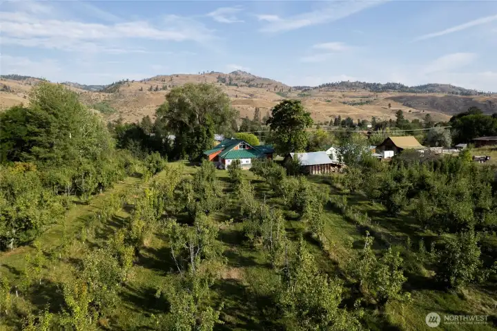 Orchard and house near the top