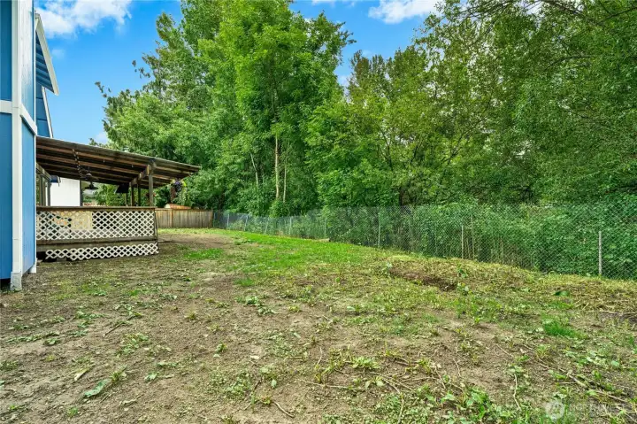 Backyard Backyard