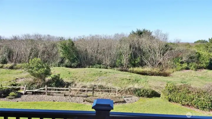 View from #206's deck.  View of the Dunes and peak-a-book views of the Ocean.