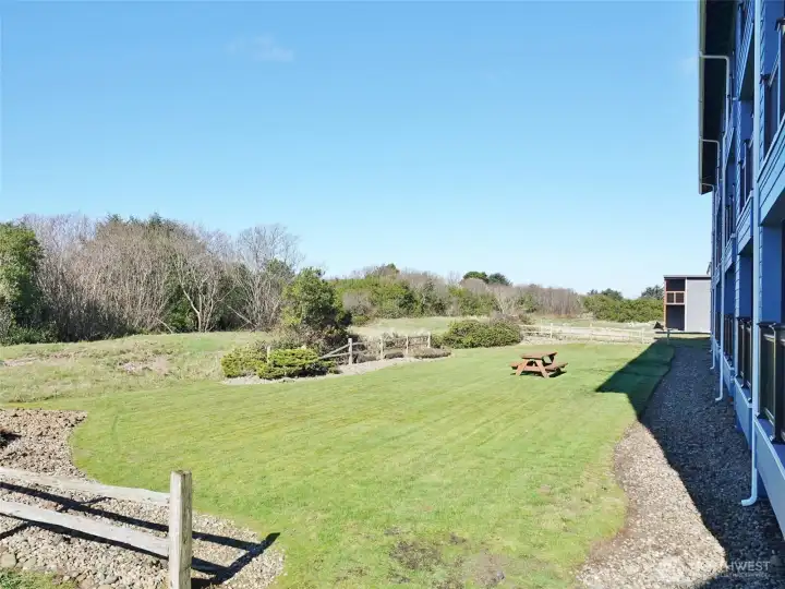 Backyard of the Nautilus building.
