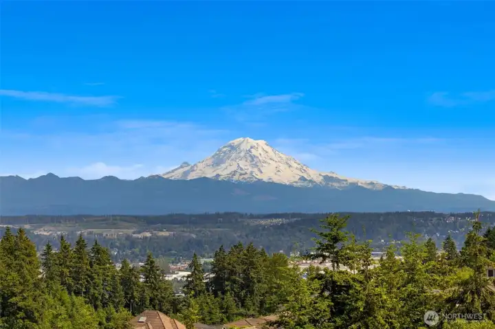 Mt. Rainier takes center stage as the focal point