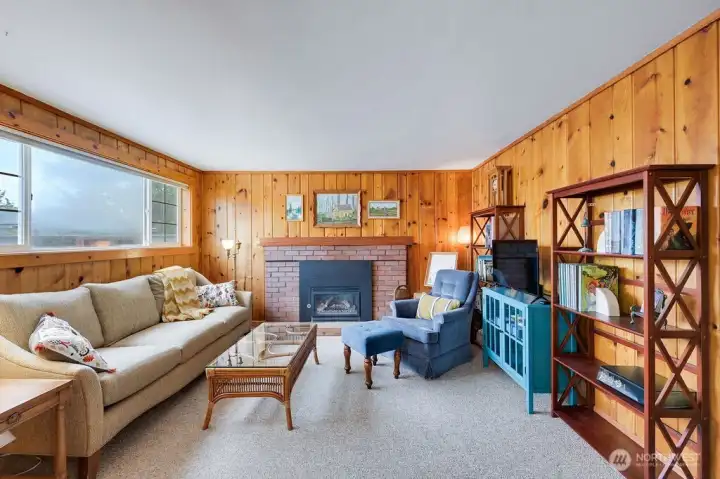 Cozy propane insert.