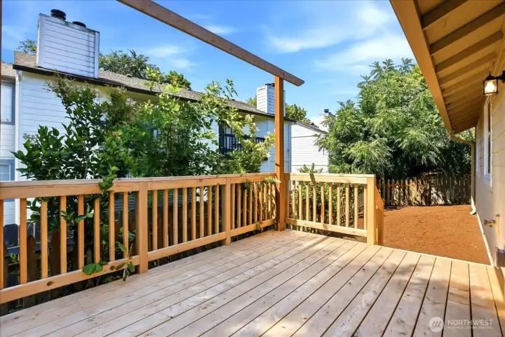 Back Deck