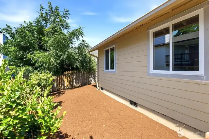 Back Yard