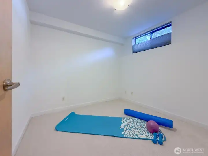 Lower level flex room