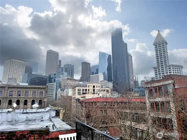 View from rooftop deck.