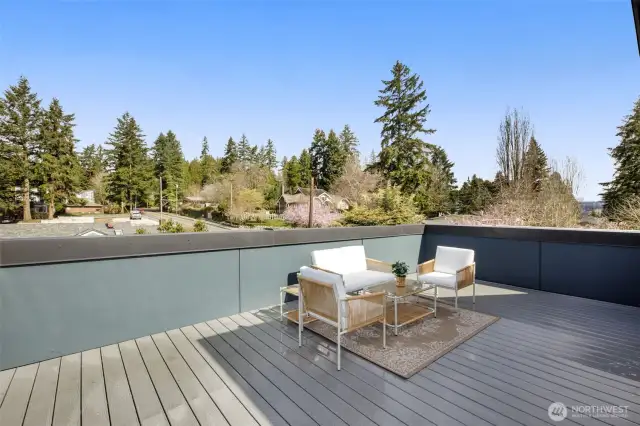 Huge Rooftop Deck