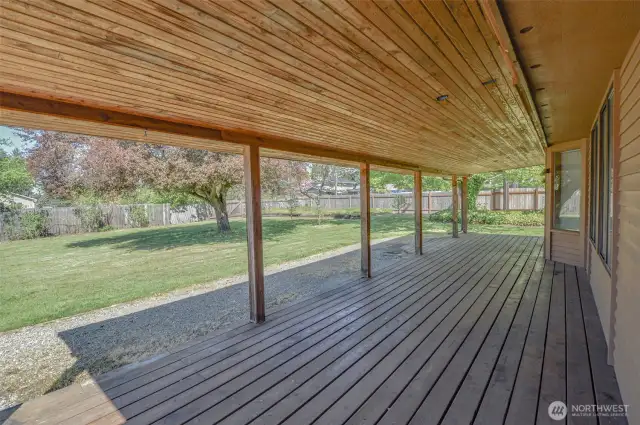 Large Backyard