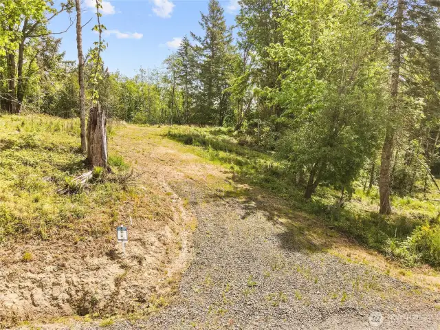 Sloped driveway up for some privacy with elevation.