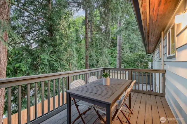 Upstairs deck off of dining room