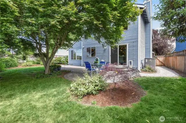 Fully fenced back yard and such a verdant and serene spot to sit and relax and a spacious outdoor space for those large gatherings.