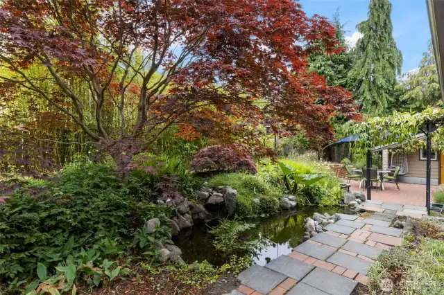 Japanese maple canopy shades the pond and bubbling stream