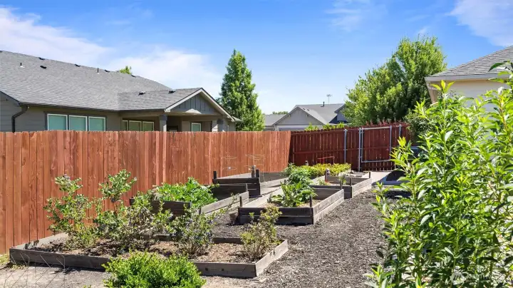 Garden beds.