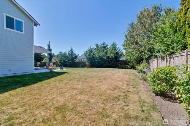 Side Yard