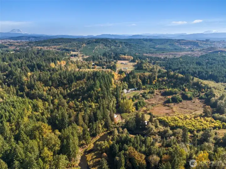 Good aerial view of the orchard