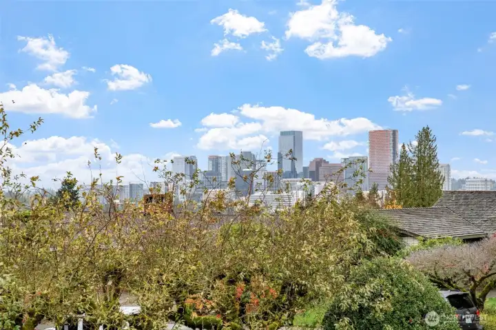 Enjoy stunning views of the Bellevue skyline from the deck, framed by mature landscaping and treetops. This elevated vantage point offers a peaceful backdrop with city charm.