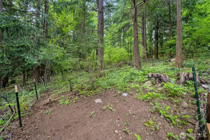 Fenced in portion, great for pets! Fenced in portion, great for pets!
