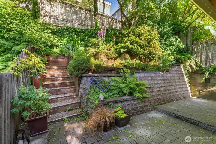 The private terraced backyard carries the same enchanting treehouse quality as the rest of the home — a lush, secluded retreat with generous space for container gardening and outdoor entertaining.