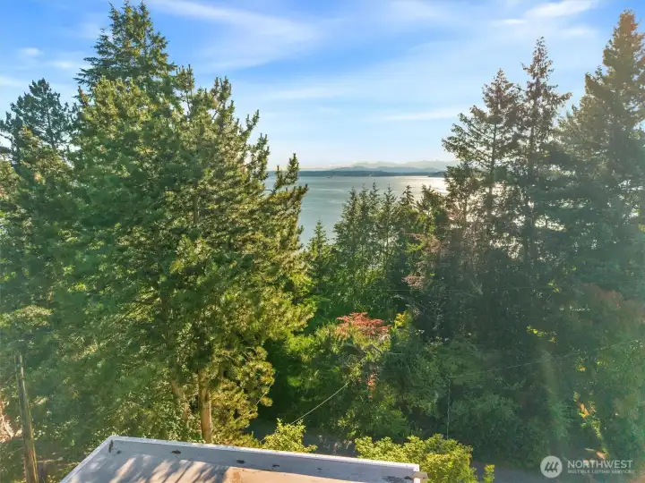 Puget Sound and the Olympic Mountains: a panorama that captivates morning, noon, and night.