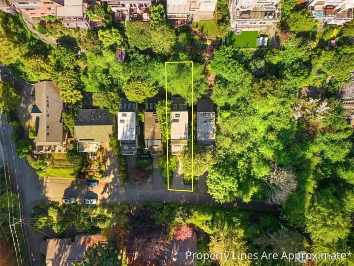 Serenely tucked along a quiet street, this home offers the best of both worlds — peaceful seclusion and effortless access to Alki Beach, Admiral Junction, and Alaska Junction.