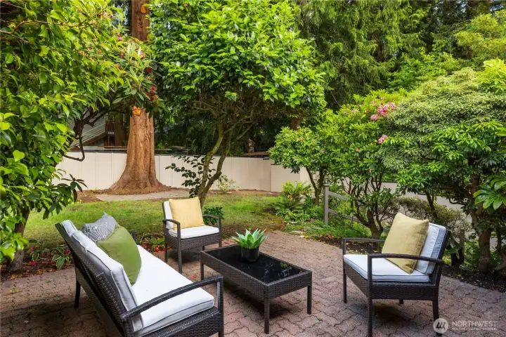 Backyard Patio