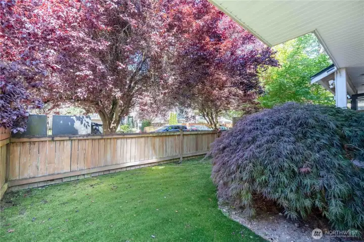 spacious yard with turf!