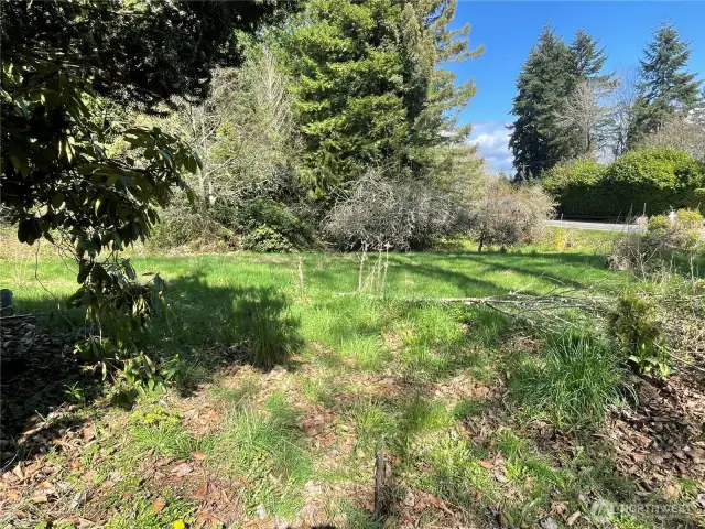 Parcel is relatively flat, with some slope.