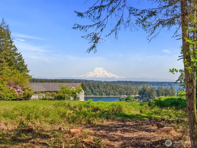 Build site cleared to open up view of Mt. Rainier.