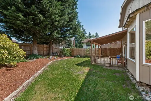 Grass and Fully Fenced