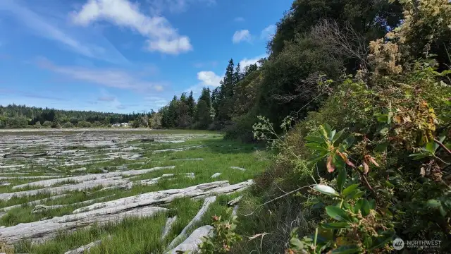 Property extends into some of the conservation area