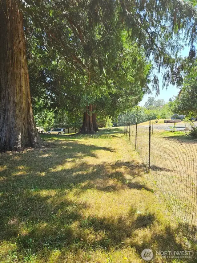 standing on the southwest corner looking east down toward the Brownsville Highway