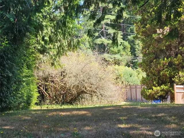 Looking from the south along the westerly line towards Tagholm Rd.