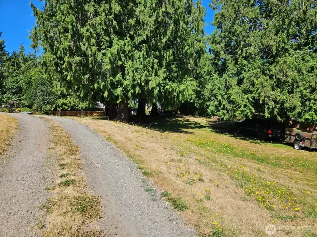 There is a 30ft strip of the lot that goes to the Brownsville Highway.    this is looking westerly from the drive to the west line of the lot.
