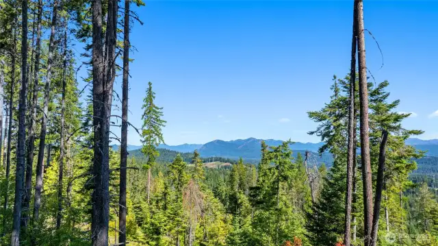 Welcome to 991 Trailside Drive!