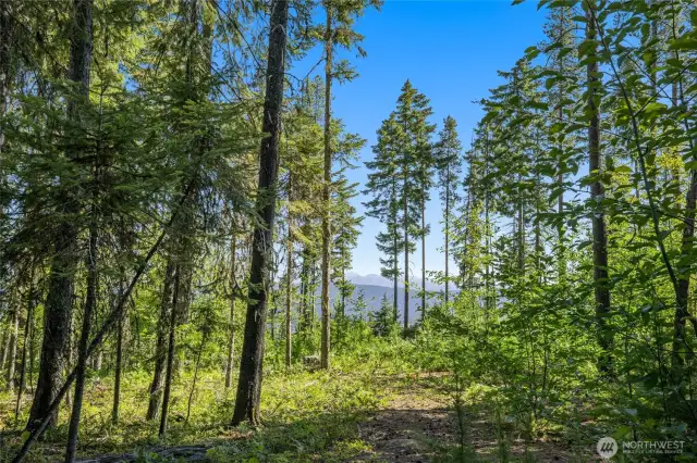 Level homesite