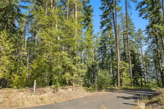 Street view of property
