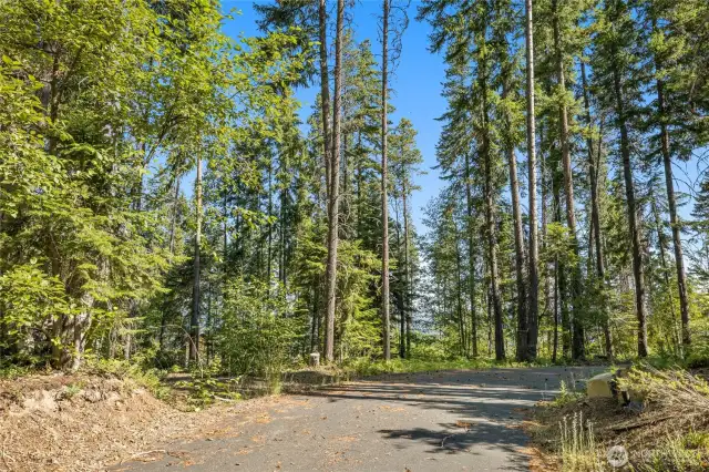 Street view of property