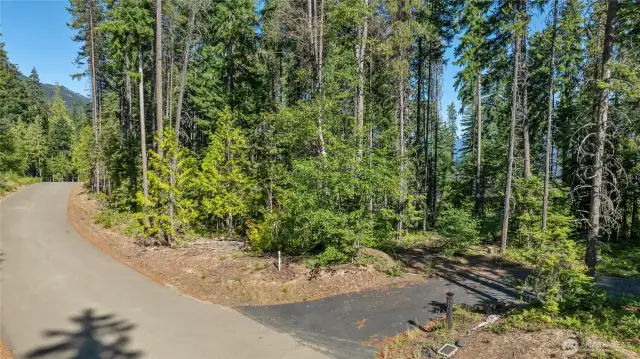 Street view of property
