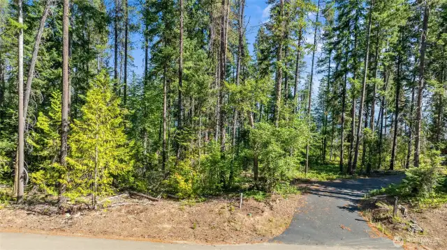 Street view of property