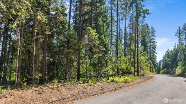 Street view of property